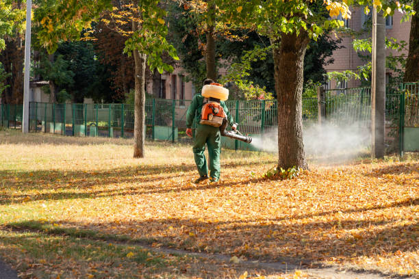 Best Termite Control Services  in Glen Ellyn, IL