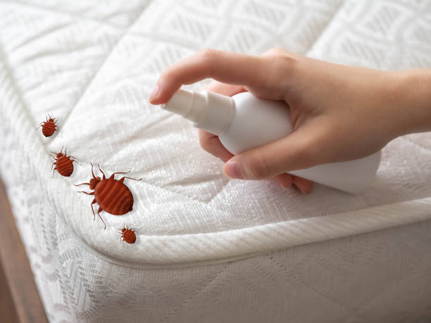 Best Commercial Pest Control Services  in Glen Ellyn, IL